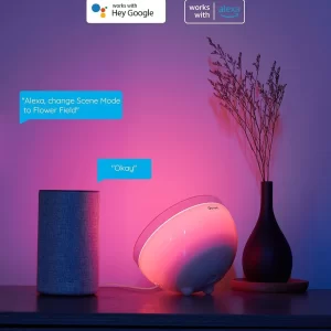 Set 4 proiectoare Govee H7060 RGBICWW LED, Alexa, Google, 24W, Sincronizare muzica, Exterior IP65 waterproof