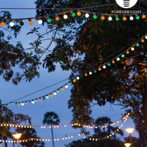 Ghirlanda luminoasa decorativa exterior Forever Light 12m cu 10 becuri LED E27, G45 Lumina Alb/Roz/Albastru, Waterproof IP65